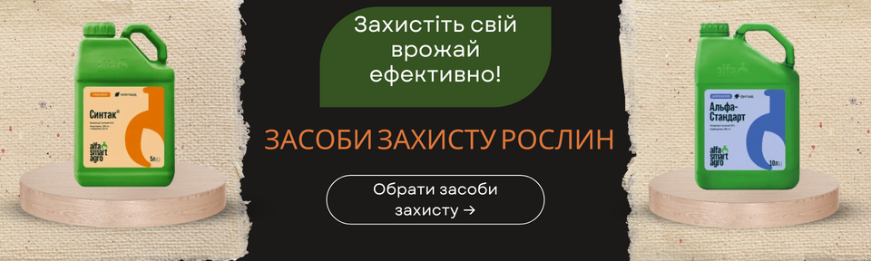 2 банер на главной маленький