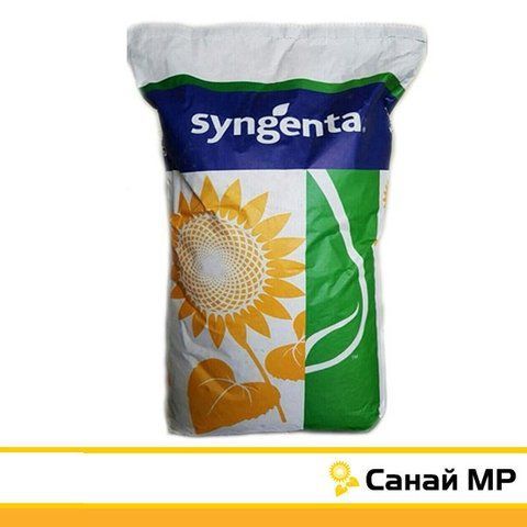 Насіння соняшнику САНАЙ МР (SANAY MR) 606 фото